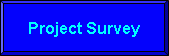 Project Survey